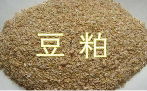 豆粕期貨是屬于熱門(mén)品種嗎？豆粕開(kāi)