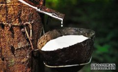 橡膠上漲仍可期，焦炭期現(xiàn)聯(lián)動(dòng)，向