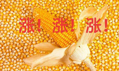 玉米期貨開(kāi)戶要驗(yàn)資嗎？為何不能買(mǎi)
