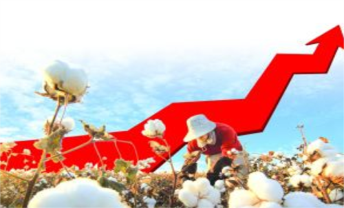 棉花期貨價(jià)格變化和哪些因素有關(guān)？變動(dòng)